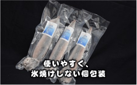 スルメイカ 160-200g×5 イカ