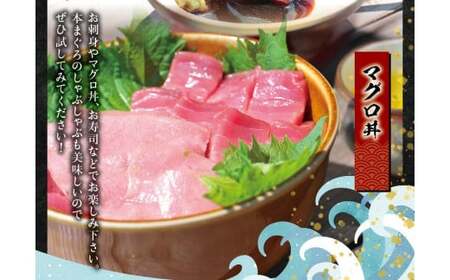 【お正月予約12月25日～29日に発送】本マグロ（養殖）トロ＆赤身セット 1350g 高級 クロマグロ  中トロ 中とろ まぐろ マグロ 鮪 刺身 赤身 柵 本マグロ 本鮪 年内配送 年内発送 お正月 正月【nks111B-sg】