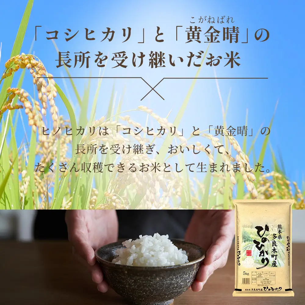 【お米】 令和7年産 多良木町産 ヒノヒカリ 5kg  【 熊本県 ひのひかり お米 新米 ごはん 白ごはん 美味しい米 白米 米 精米 ご飯 黄金晴 熊本県産 送料無料】 053-0508