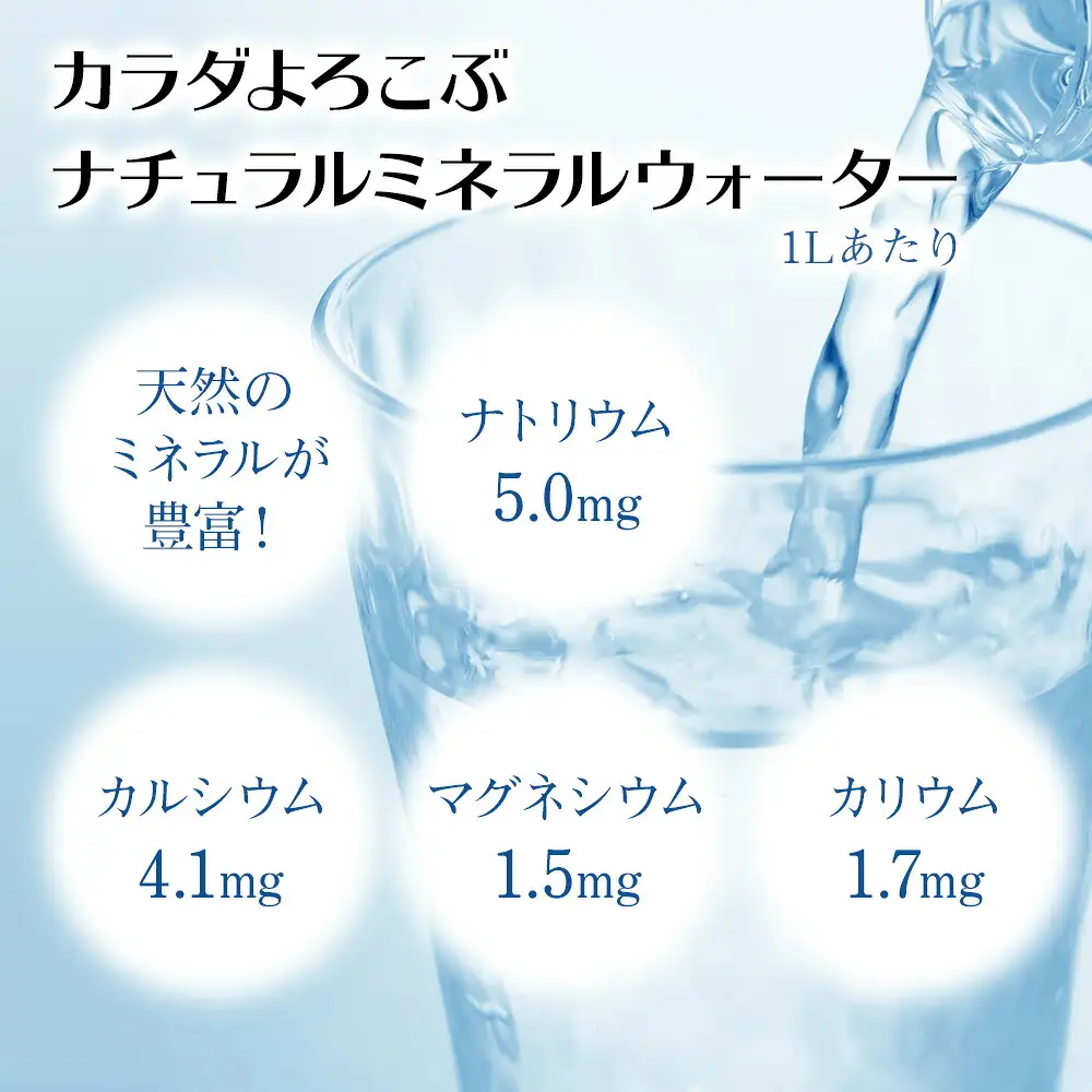耶馬溪源流水 青の洞門 500ml×48本 2ケース | 水 飲料水 湧き水 天然水 ナチュラルミネラルウォーター 大分県 中津市