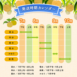 西江豊水園の新興梨 約3kg ( 7個前後 ) | フルーツ 果物 くだもの 果実 数量限定 旬 完熟梨 梨 なし ナシ 新興 新興梨 和梨 3kg 3キロ 新鮮 産地直送 大分県産 九州産 国産 大分県 中津市