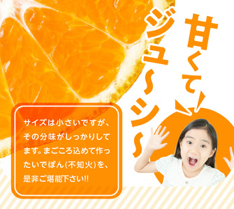 S086-007A_訳あり 不知火 約 9kg 数量限定〈先行予約〉