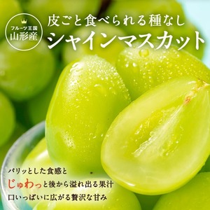 【2026年発送】長井市伊佐沢のぶどう職人が作るシャインマスカット約2kg（2～5房）_H141(R8)