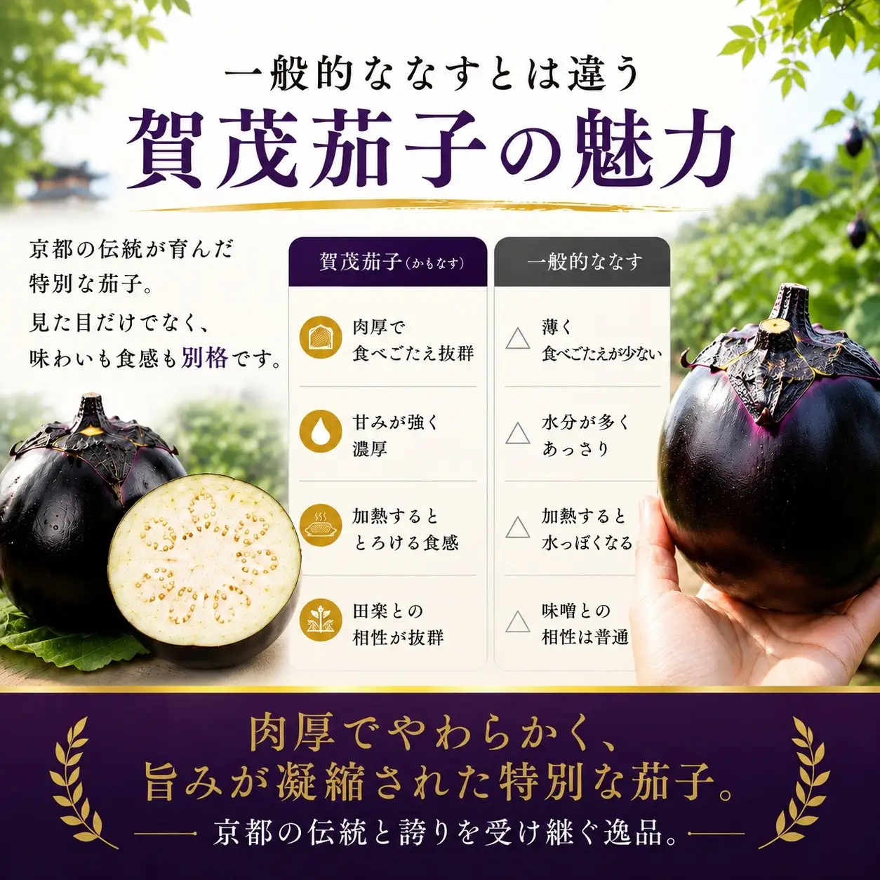 賀茂茄子（京野菜）  6個 約1.5kg｜京野菜 野菜