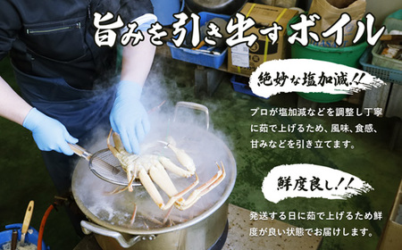 舞鶴かに ボイル 1～1.2kg未満 銀タグ 松葉かに