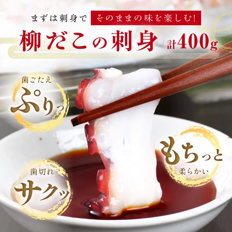 「しらぬか産柳だこ」とBBQに「たこ串(塩味・味噌味・醤油味)」のセット_I024-0137