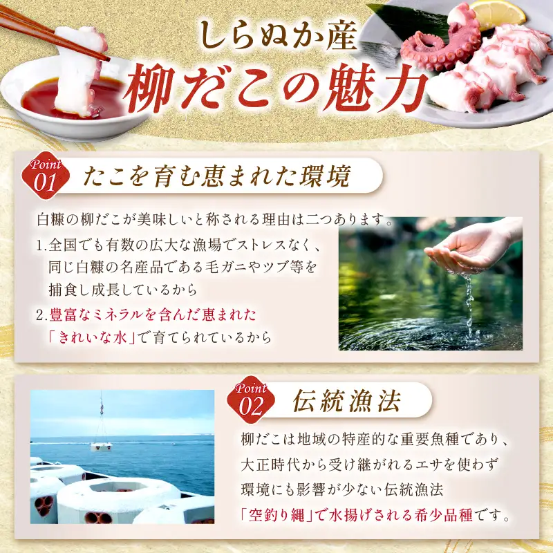しらぬか産刺身用柳だこ【600g×2個】_I025-0136