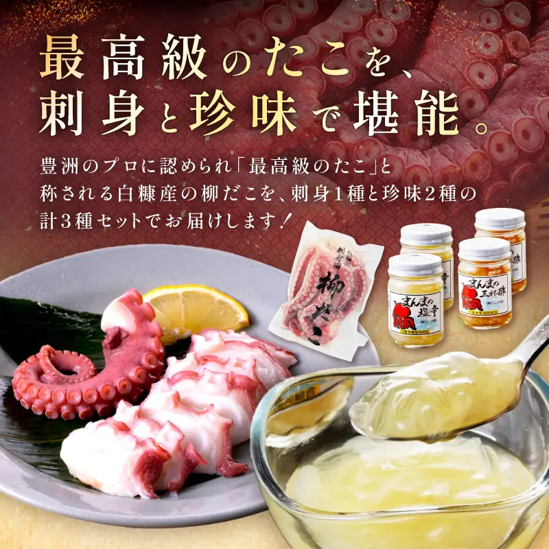 しらぬか産柳だこ(600g)と珍味(まんまの三杯酢・まんまの塩辛)の計3種セット_I021-0469