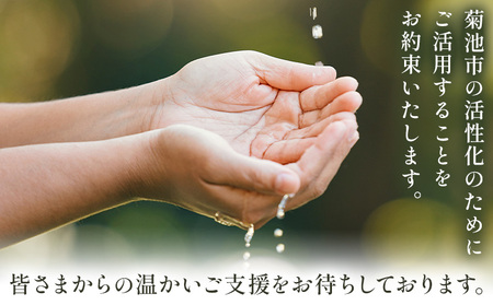 菊池市への寄附(返礼品はありません) 熊本県 菊池市 返礼品なし 1,000円