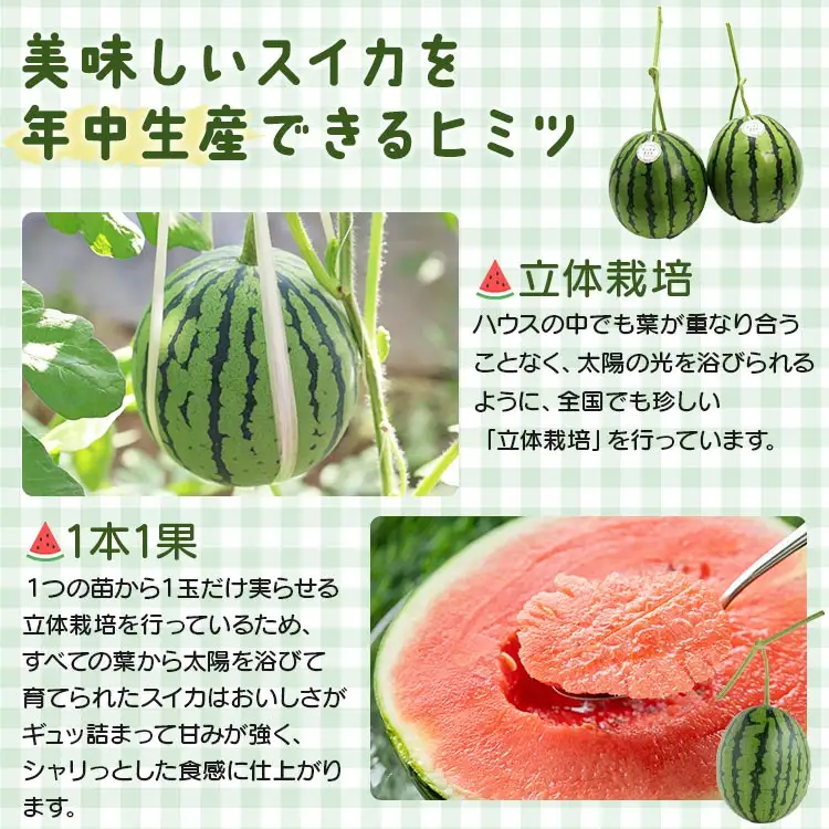 【江本農園のスイカ】アンテナスイカ 2玉 【先行受付】 em-0018