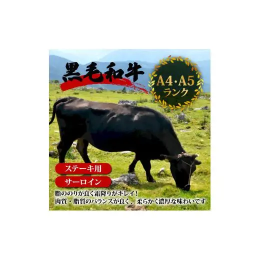 【 黒毛和牛 】 黒毛和牛ステーキ