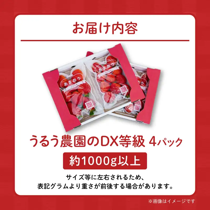 【2026年11月より順次発送】うるう農園のあまおうDX等級 約250～270g×4パック_ いちご フルーツ 果物 〔Fi008〕