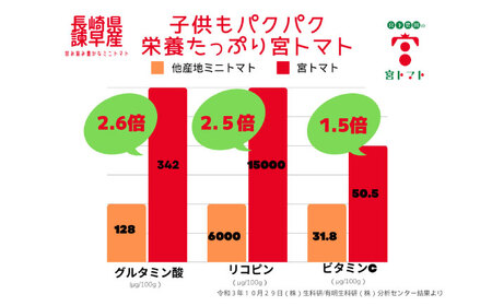 プチッと弾ける果汁「宮トマト」2kg / 野菜 やさい トマト とまと ミニトマト プチトマト / 諫早市 / 株式会社宮下農園 [AHCG012]