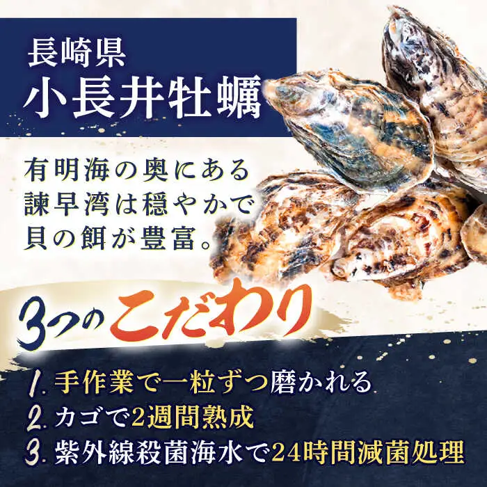 【長崎県小長井町産】「小長井牡蠣」食べ比べセット4袋+1袋(えび) / かき カキ 牡蠣 海鮮 / 諫早湾漁業協同組合 [AHBJ004]