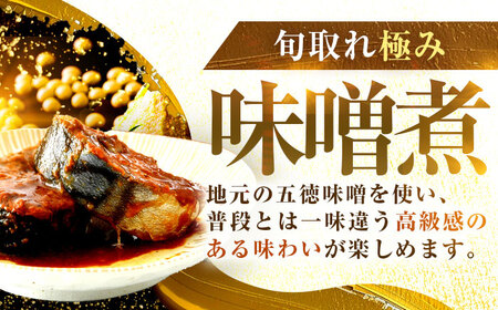 旬獲れ極み鯖味噌煮缶詰 8缶 / さば缶 さば缶 さば缶 さば缶 さば缶 さば缶 さば缶 さば缶 [BFAB001]