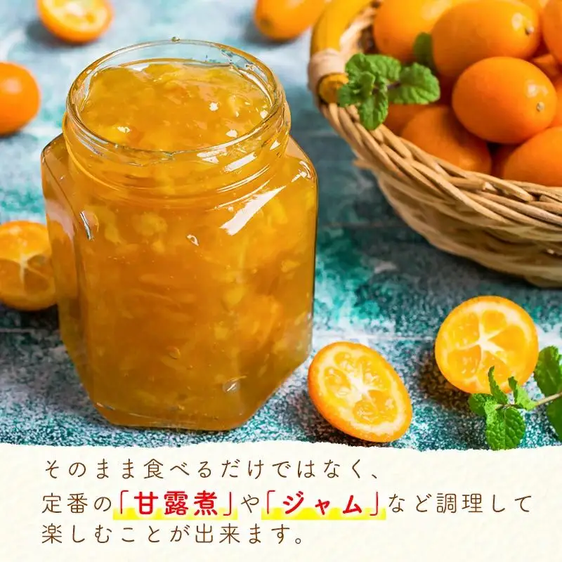 【先行予約】宮崎県西都市産 完熟きんかん3kg（3L～L）　2027年発送＜18-8a＞
