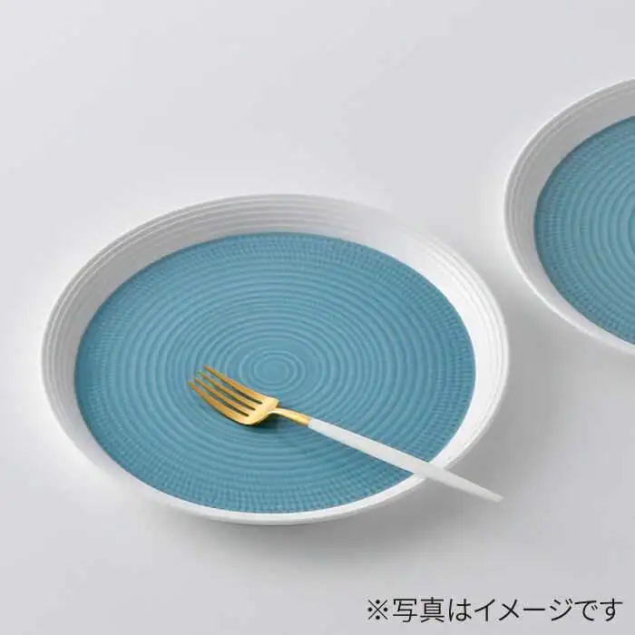 【波佐見焼】ブルースプレッド 24cm 丸皿 プレート 2枚セット 食器 皿 【一真窯】 [BB46]  波佐見焼
