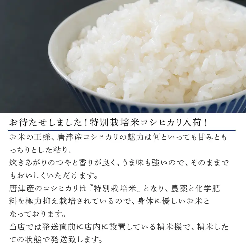 唐津産特別栽培米 コシヒカリ(白米) 4.5kg