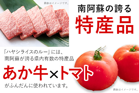 ちきゅうや「むらのハヤシルー」 200g×4食 セット 計800g 《30日以内に出荷予定(土日祝除く)》 熊本県 南阿蘇村 送料無料 ハヤシルー st-p