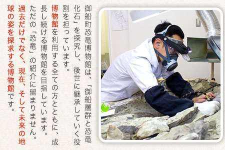 御船町恐竜博物館オリジナルグッズ詰め合わせ 5点セット《30日以内に出荷予定(土日祝除く)》 オリジナルグッズ チケット キーホルダー マグネット 御船町恐竜博物館 st-p