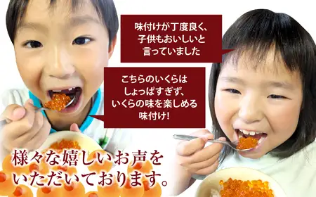 ★ふるさと納税限定★ 鱒いくら醤油漬け 400g(小分け2パック) マス いくら