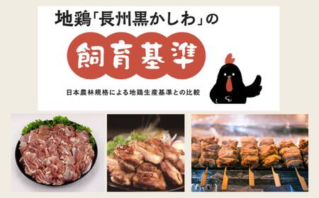 【流通割合1%未満！希少地鶏】合計1.2kg 長州黒かしわ もも肉 小分けパック カット済み 柚子 鶏 ジューシー 天然記念物黒柏 地鶏 栄養 旨味 長門ゆずきち柚子こしょう付 唐揚げ 焼き鳥  (1035)