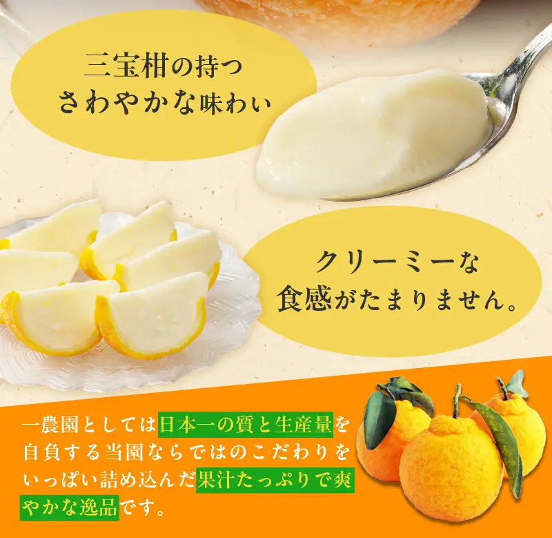 【ギフト用】まるごと 三宝柑 シャーベット 5個 セット_ZP6009_GFTn