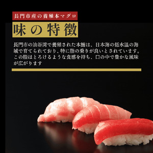 (1347)油谷産養殖本マグロ 中トロ柵 800g