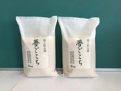  令和7年産 夢ごこち 10kg 白米 【T035W3】 近江米 ご飯 精米 5kg 2袋