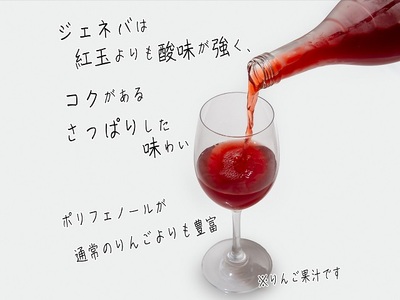 風丸農場　赤いりんごのジュース　無添加 青森県産　720ml×2本セット 飲料類 果汁飲料 