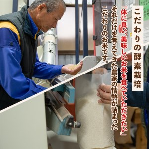 isa313 【定期便】伊佐のお米(5kg×12ヶ月・計60kg) 国産 白米 精米 伊佐米 お米 米 ごはん ご飯 ひのひかり酵素栽培【猩々農園】