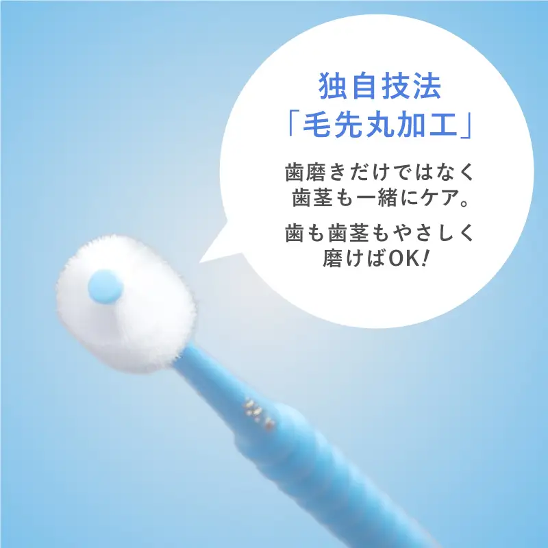 360度毛歯ブラシ「POPOTAN　爽」15本