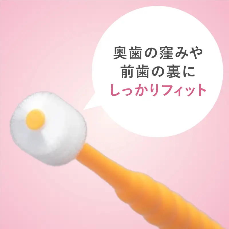 360度毛歯ブラシ「POPOTAN」子供用１５本セット