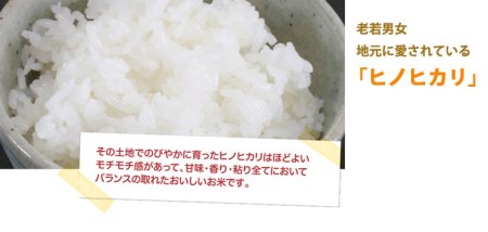 ヒノヒカリ 5kg 白米