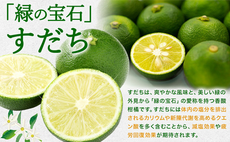 すだち微炭酸 30本 JA徳島市農産工場《30日以内に出荷予定(土日祝除く)》│ スダチ すだち 飲み物 飲料 ジュース 徳島 とくしま ご当地ジュース 箱でお届け 徳島県 佐那河内村