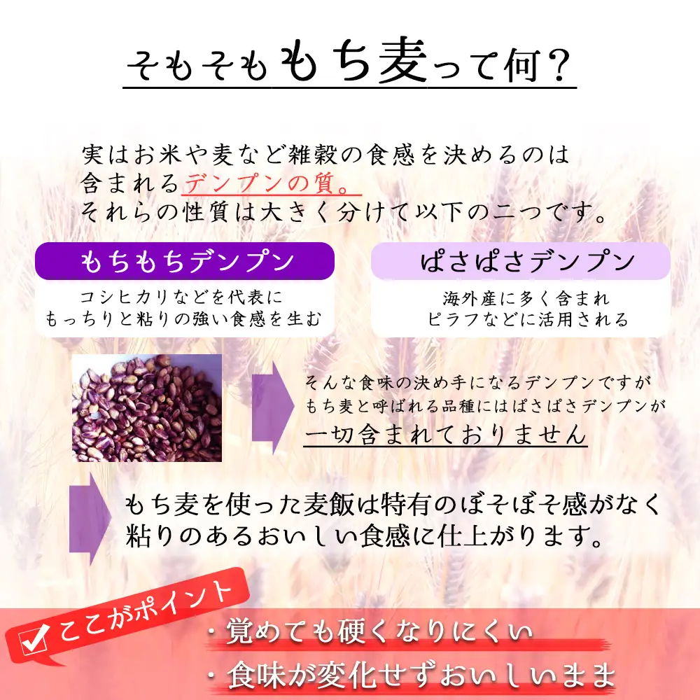 お米 もち麦 米 【通年出荷】岡山県玉野市産 もち麦 ダイシモチ 950g×5袋 