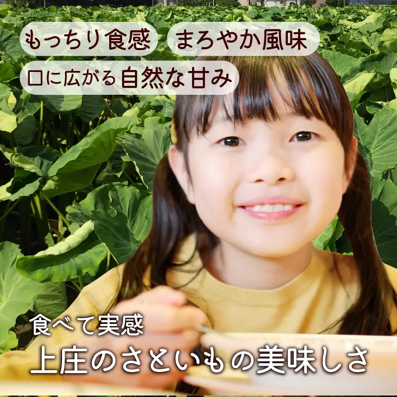【冷凍里芋】上庄さといも 冷凍 洗い子 2kg（500g × 4袋）【冷凍】減農薬・減化学肥料の特別栽培里芋 農家直送 煮物に便利な小さめサイズ [A-004003]