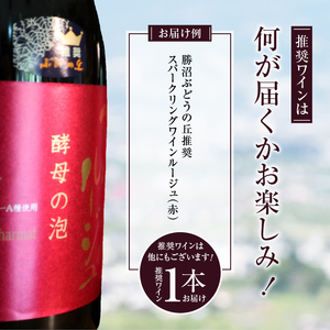 勝沼ぶどうの丘推奨 スパークリングワイン 赤（ルージュ）1本（KBO）B-688【ワイン スパークリングワイン 赤ワイン 甲州市 山梨県】
