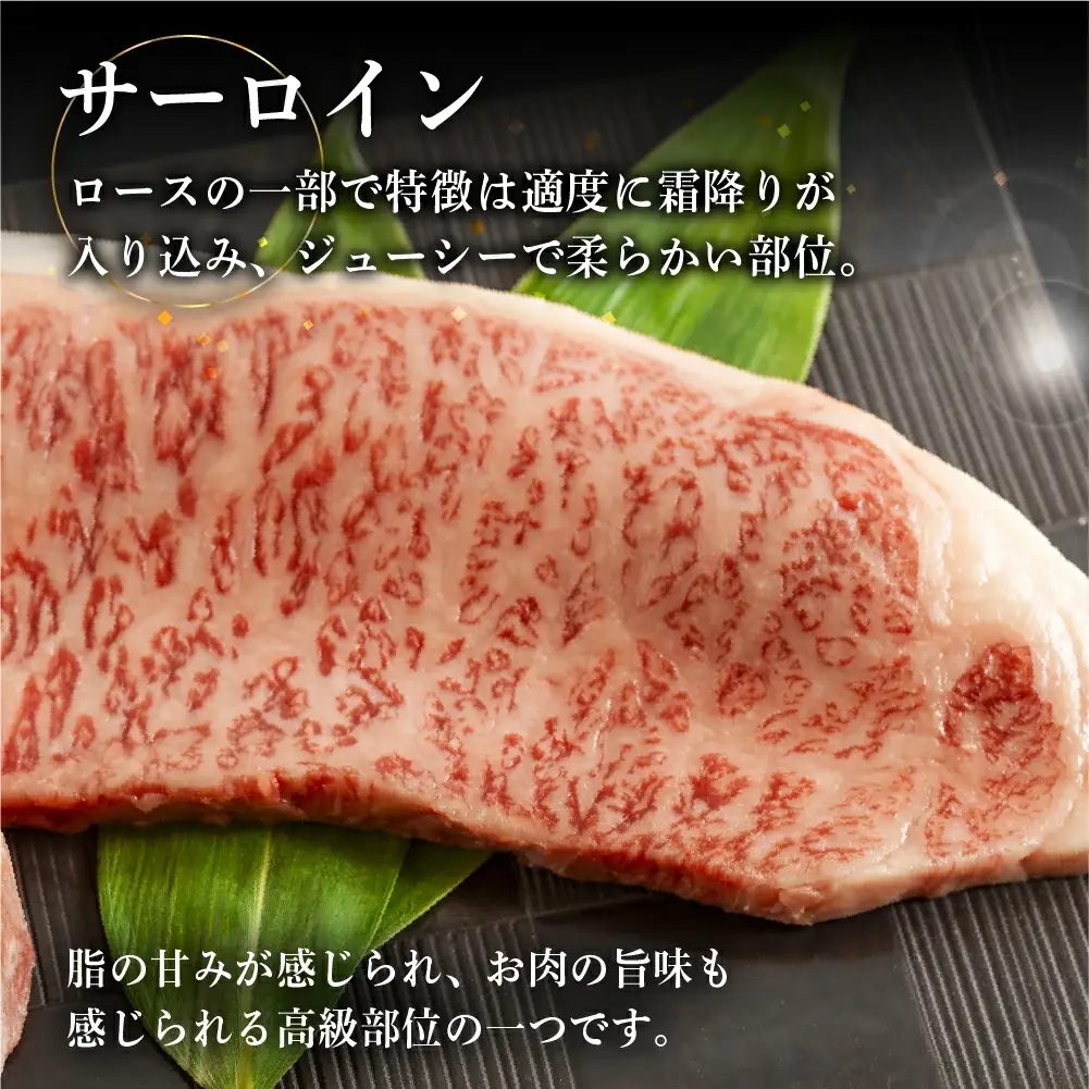 飛騨牛サーロインステーキ 250g×3【70-13】