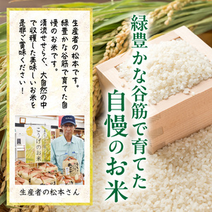 【令和8年産新米】松本さんが作った上毛町尻高地区産の厳選米「夢つくし」9kg _K00701