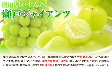 たたらみねらる 瀬戸ジャイアンツ 約650g　ぶどう