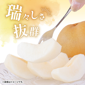 梨 5kg 豊水【2026年8月中旬頃から発送】 梨 IDG