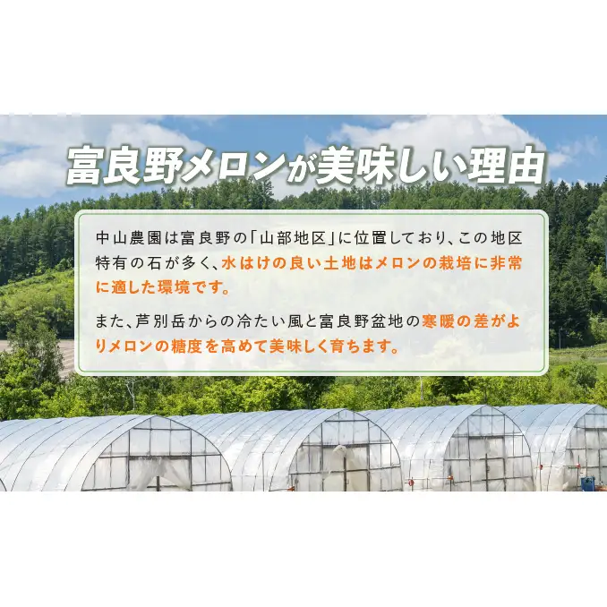 TVで話題【2026年発送】北海道 富良野 赤肉 メロン 2玉 計3.2kg以上