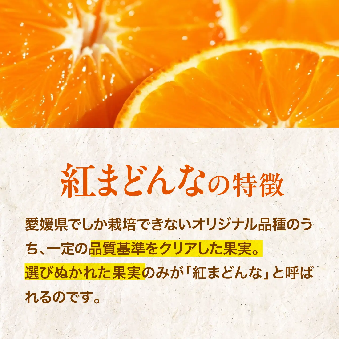紅まどんな （8個-12個 ）【11月下旬から順次発送】紅まどんな みかん[AGBA002]