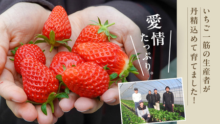 《 2027年 収穫分 》 完熟 とちおとめ 260g×2パック KEK 国産 いちご イチゴ 苺 くだもの 果物 フルーツ 冬 春 旬 [BC025sa]