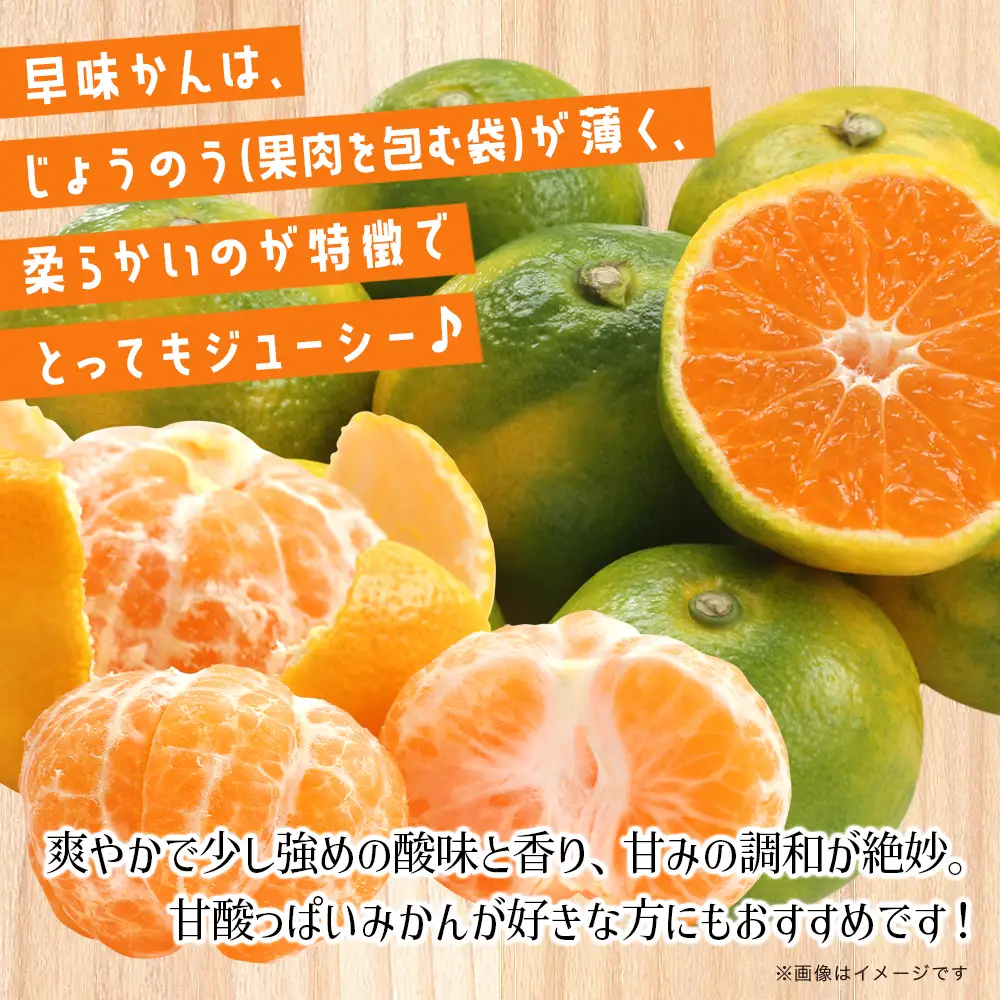 【先行受付】2026年の秋に配送！福岡県オリジナル品種極早生みかん『早味かん』約5kg＜配送不可：北海道・沖縄・離島＞ 果物 フルーツ ミカン おいしい 八女 072-001