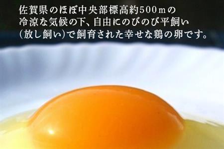 「全3回定期便」毎月お届け七山たまご(ＭＬサイズ相当) 30個 玉子 生卵 鶏卵 佐賀県唐津産
