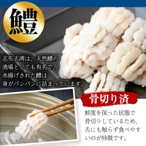 お鍋・はもしゃぶにも！志布志湾鱧（骨切り済み） 計600g a5-296