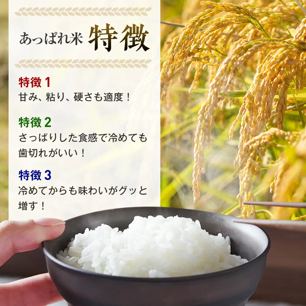 【令和8年産・早期予約受付】北海道産 津別町あっぱれ米（精米）10kg | 米 お米 新米 白米 精米 国産米 農家直送 産地直送 北海道 津別町 送料無料