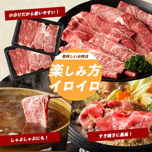 鹿児島県産黒毛和牛肩ローススライス600g カミチク IB112-005 牛肉 牛肉 